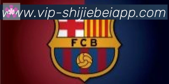 世界杯APP下载合作伙伴